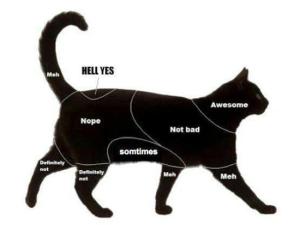 cat-petting-map